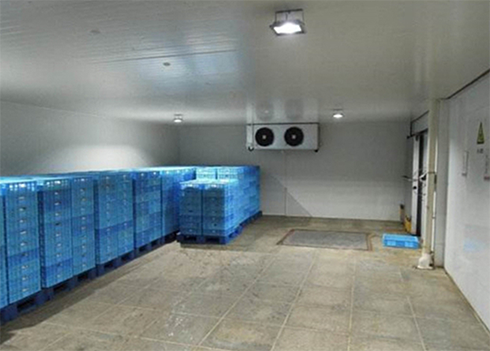食品亚洲精品无码久久建造安裝公司