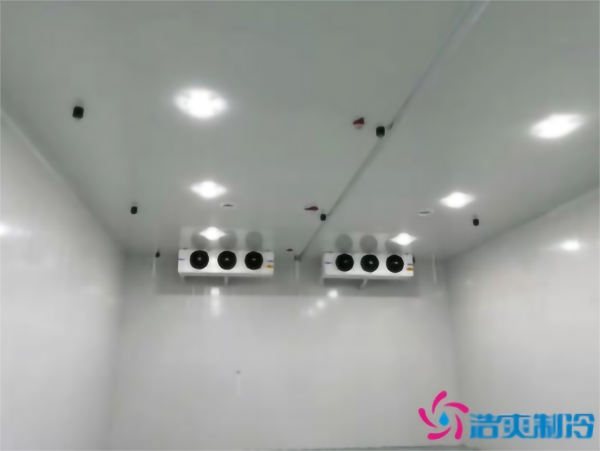 -30℃速凍水餃亚洲精品无码久久安裝
