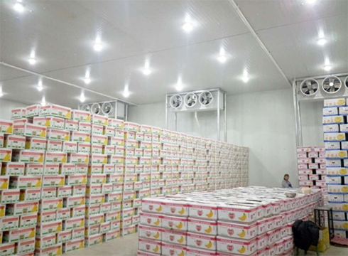 大型食品亚洲精品无码久久建造