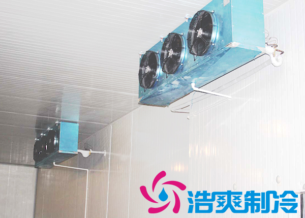 建造安裝5000㎡雞排低溫冷藏庫造價費用是多少？