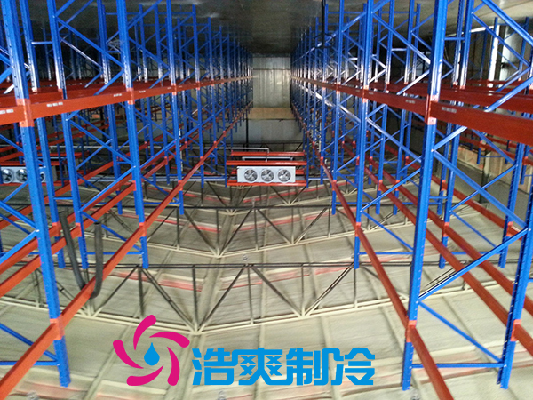 建造安裝5000㎡雞排低溫冷藏庫造價費用是多少？