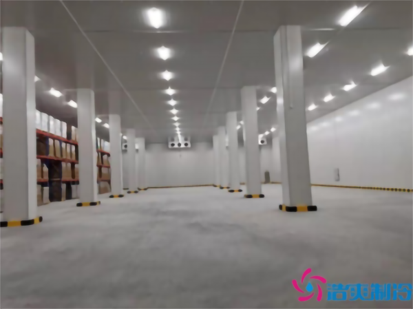 建造-18℃~-23℃牛肉亚洲精品无码久久（低溫冷凍庫）需要花費多少錢？