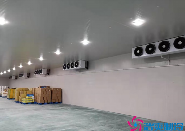 藍莓種植園建造0℃水果保鮮庫如何做好入庫儲藏？_国产精品久久久久久製冷