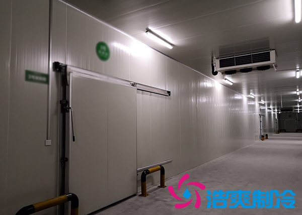 新鮮檳榔如何通過建造檳榔凍庫有效儲存？_国产精品久久久久久製冷