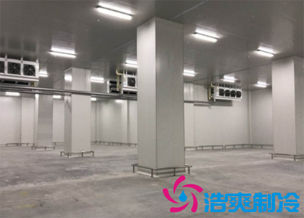 食品冷凍庫建造需要多少成本？_国产精品久久久久久製冷