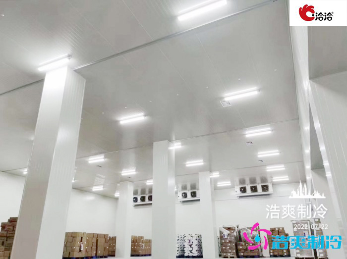 長沙洽洽5000立方食品亚洲精品无码久久建造工程