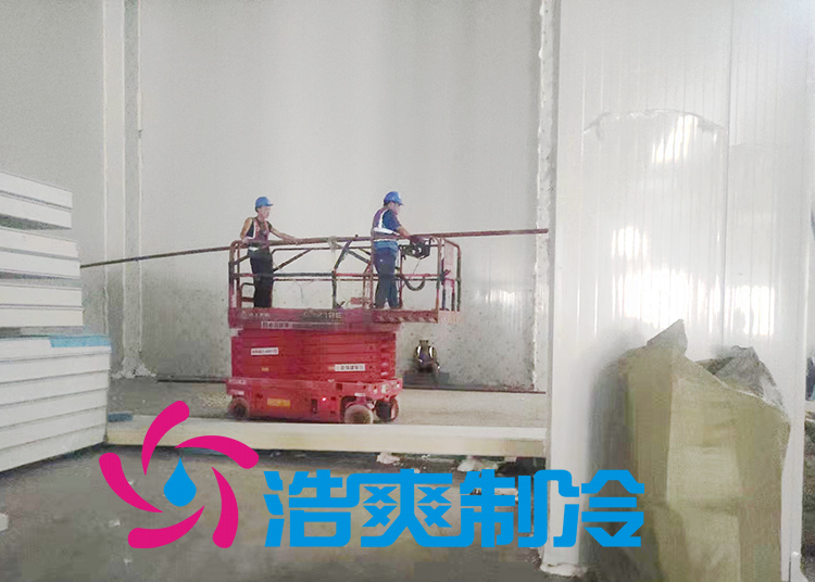 建造一個水果和蔬菜的新鮮冷藏室要花多少錢呢？_国产精品久久久久久製冷