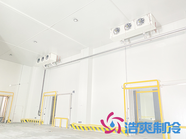 建造一間-18℃冷凍庫需要多少錢？影響因素有哪些？_国产精品久久久久久製冷