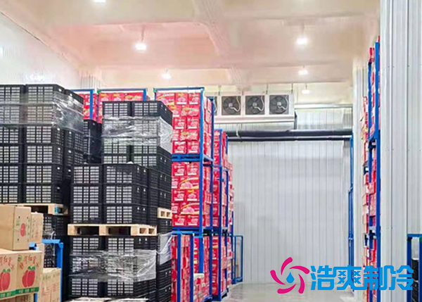 山楂亚洲精品无码久久存儲可以放多久?溫度要求是多少?-国产精品久久久久久製冷