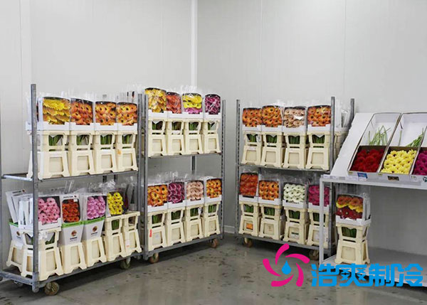 鮮花亚洲精品无码久久多少錢一平方？-国产精品久久久久久製冷