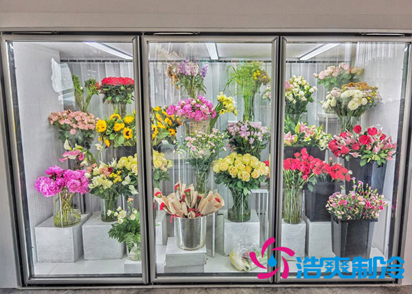 花店亚洲精品无码久久適合風冷還是直冷？-国产精品久久久久久製冷