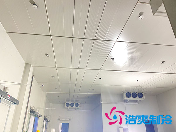 嶽陽生鮮食品亚洲精品无码久久建造價格多少錢？-国产精品久久久久久製冷
