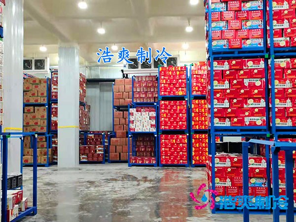葡萄保鮮亚洲精品无码久久造價