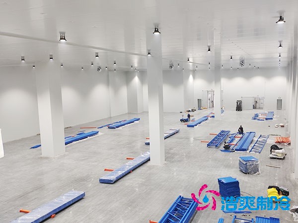 自建亚洲精品无码久久的成本與維護費用概述