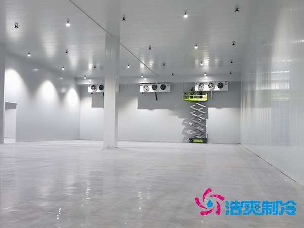 自建亚洲精品无码久久的成本與維護費用概述