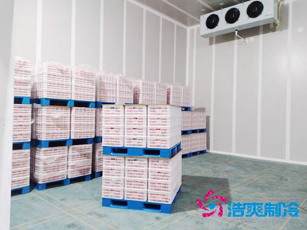 保鮮亚洲精品无码久久造價