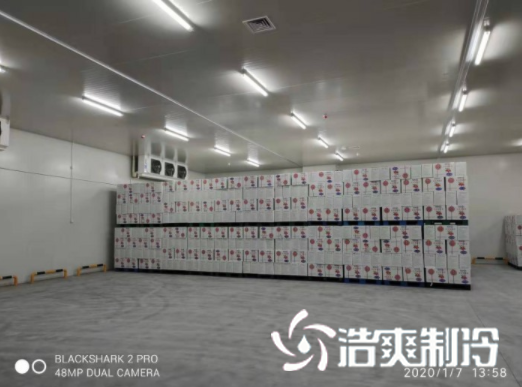 安徽洽洽49500m³食品加工亚洲精品无码久久建造